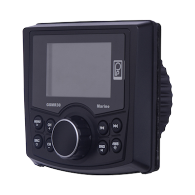 Stereo Source Unit