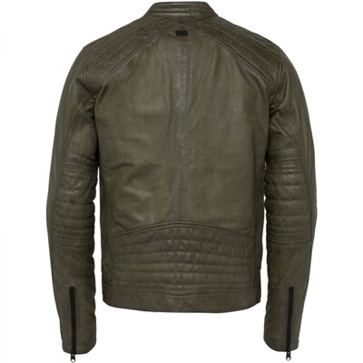 CLJ211170 Beech