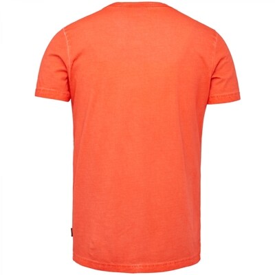 PTSS2204572 Tangerine Tango