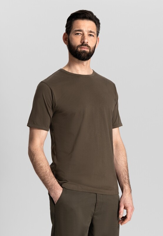 202906 Olive