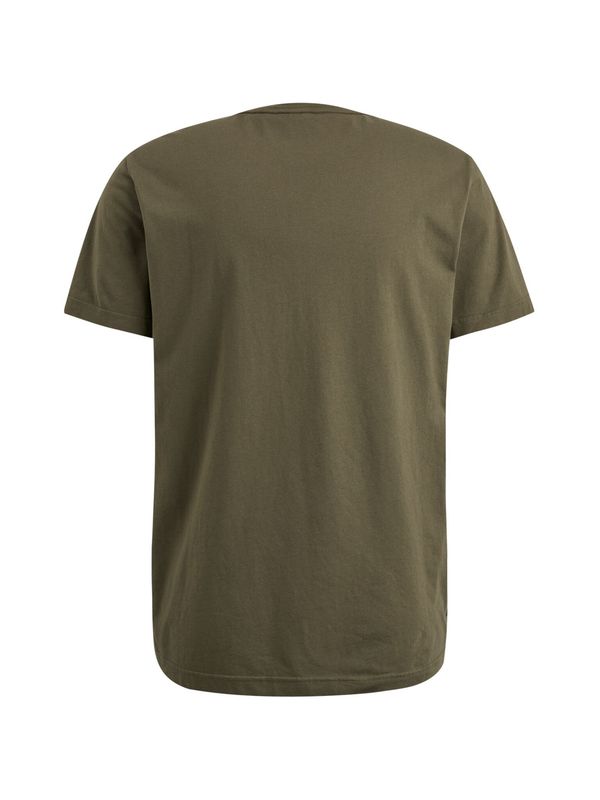 PTSS2404590 Ivy Green