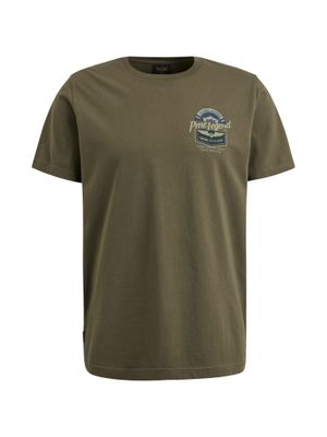 PTSS2404590 Ivy Green