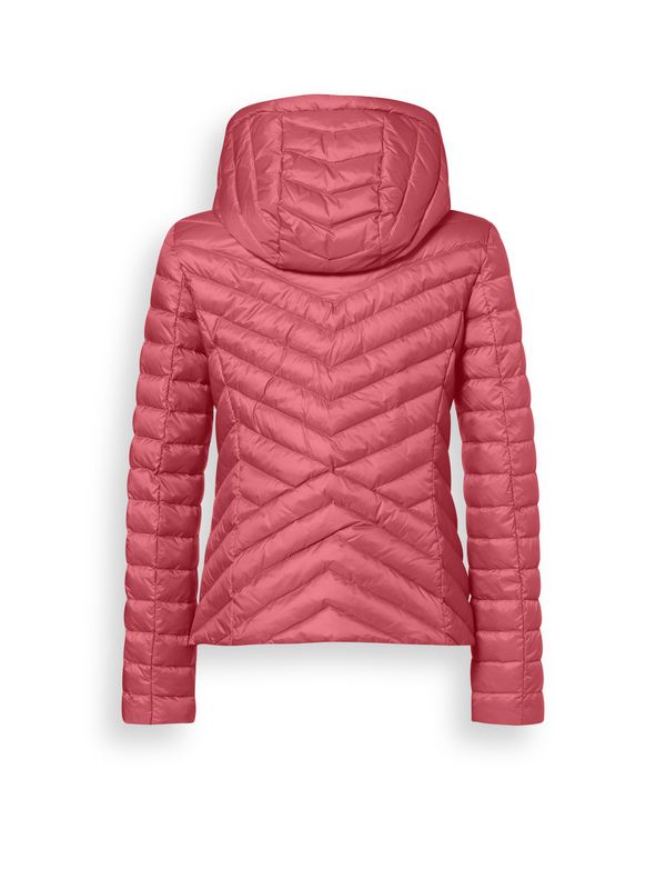 LR02712251 coral pink