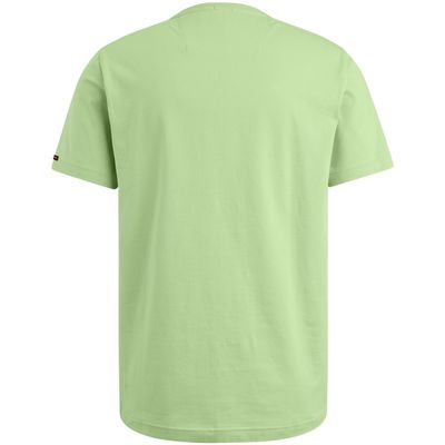 PTSS2504599 Quiet Green