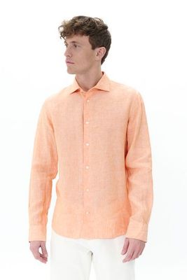 30205841 Shell Coral