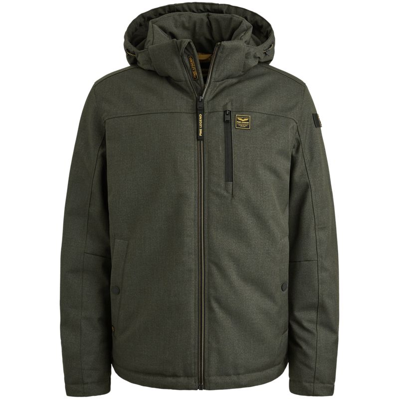 PJA2508106 Climbing Ivy