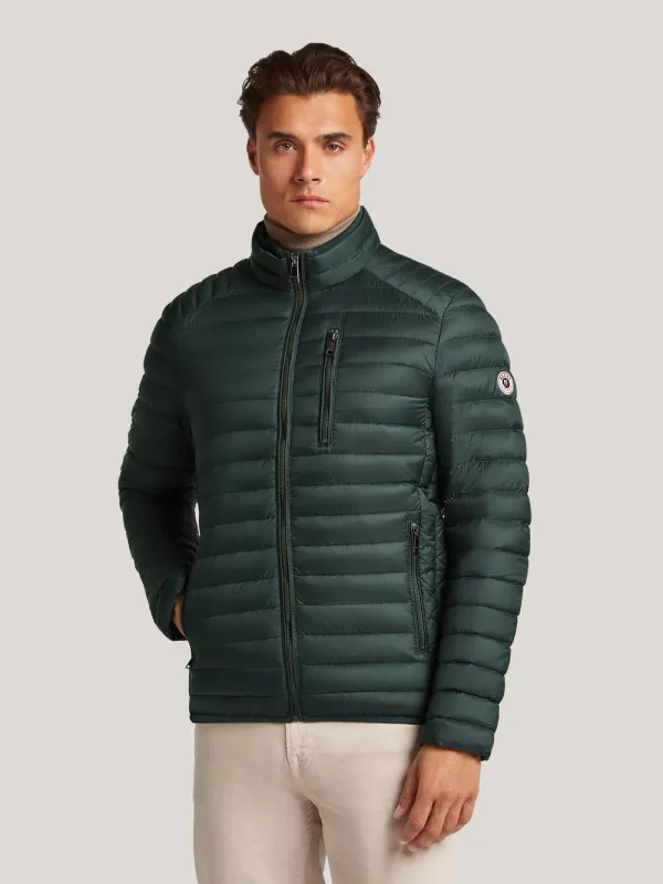 MR02710253 magical forest