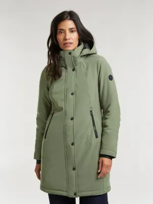 LR00560243 silver pine