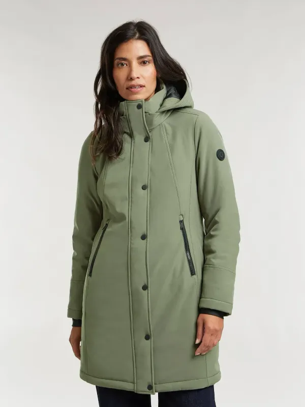 LR00560243 silver pine