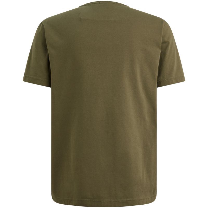 PTSS2602599 Ivy Green