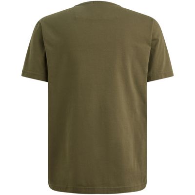 PTSS2602599 Ivy Green