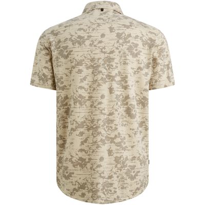PSIS2603254 Birch