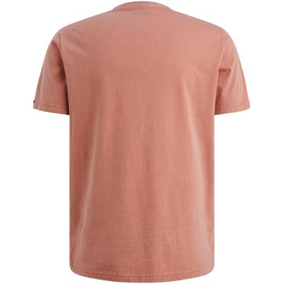 PTSS2604562 Rose Dawn