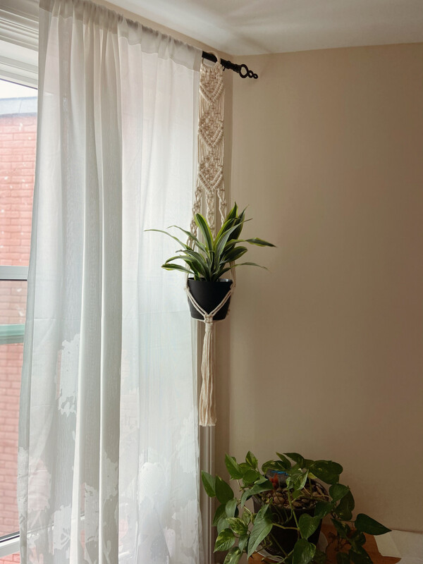 The Chic Plant Hanger