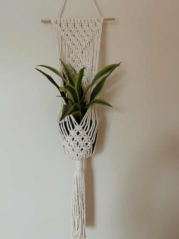 The Classic Plant Hanger