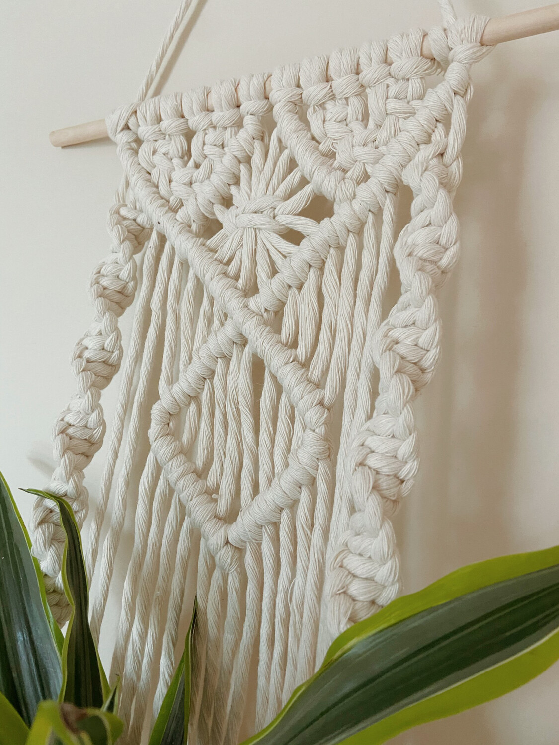 The Elegance Plant Hanger