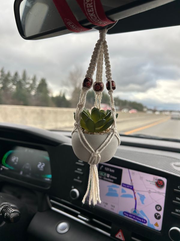 Mini Plant Hanger