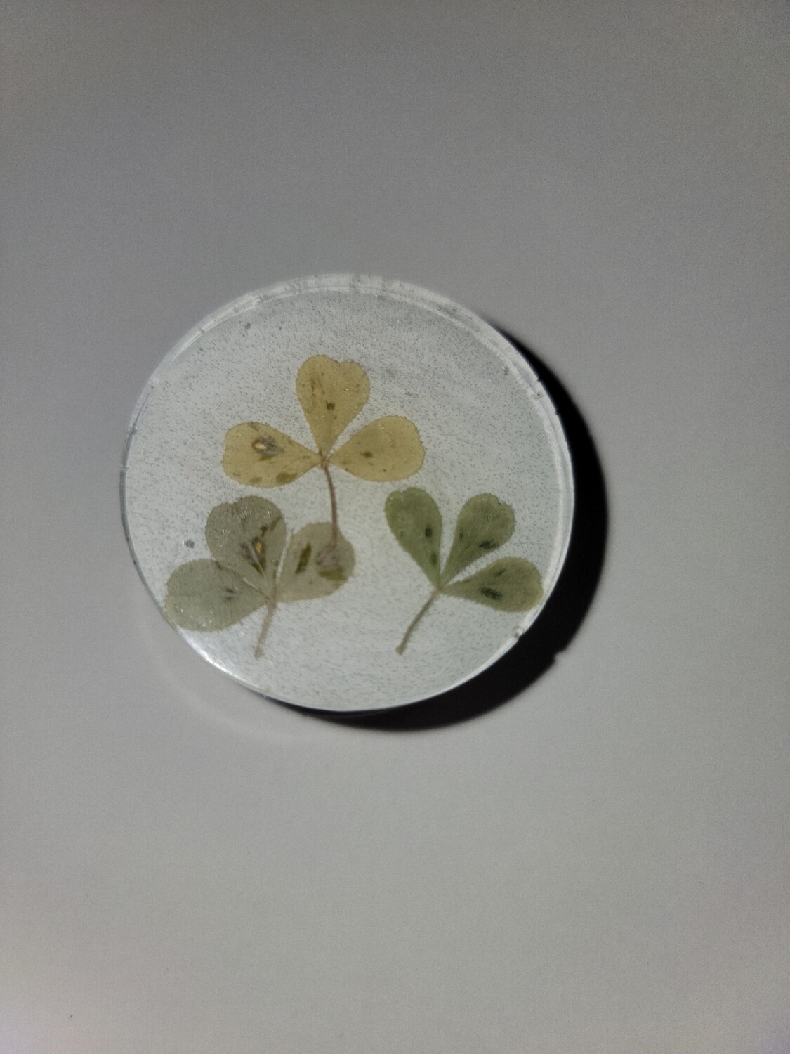 3 leaf clover