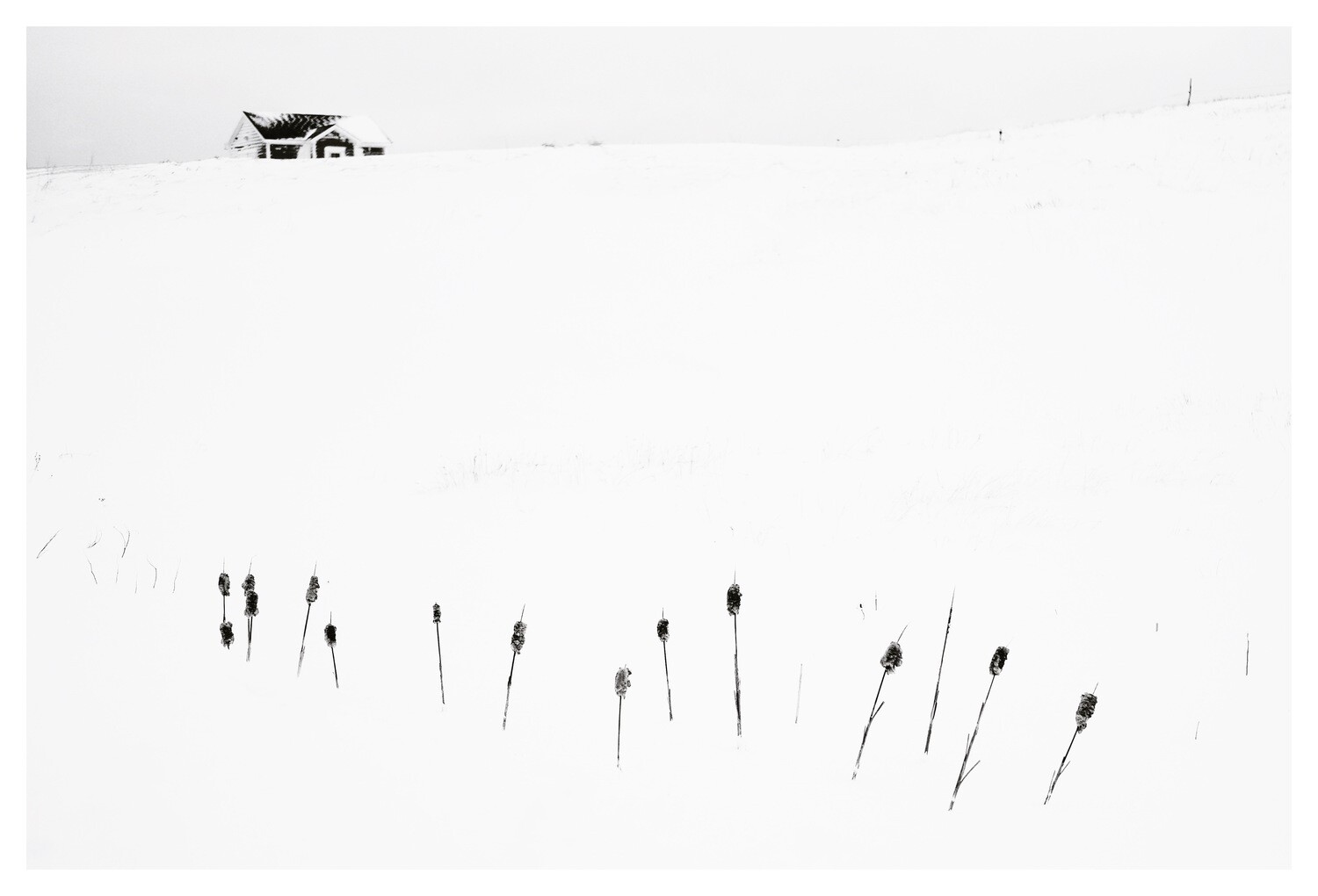 White-out - à partir de