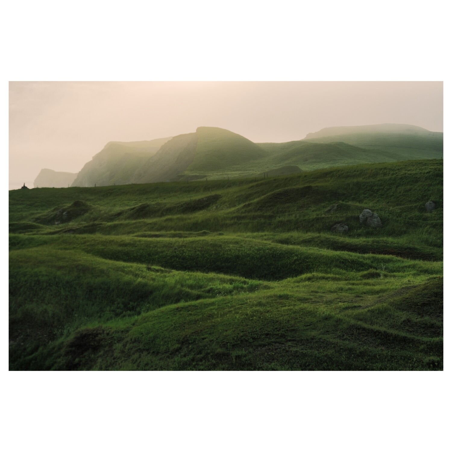 Vert tendre et caresses de brume - à partir de