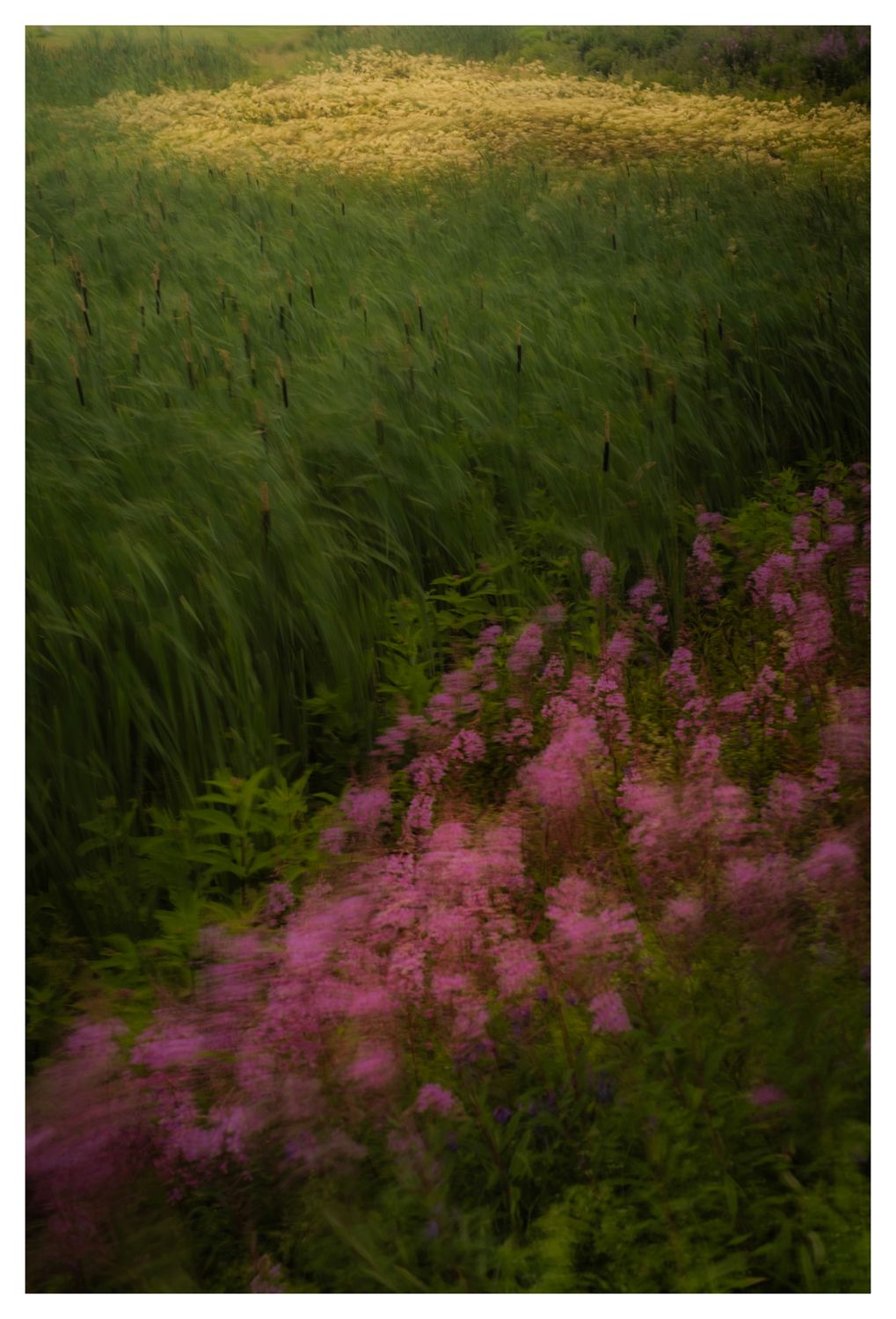 Étreinte de couleurs - à partir de