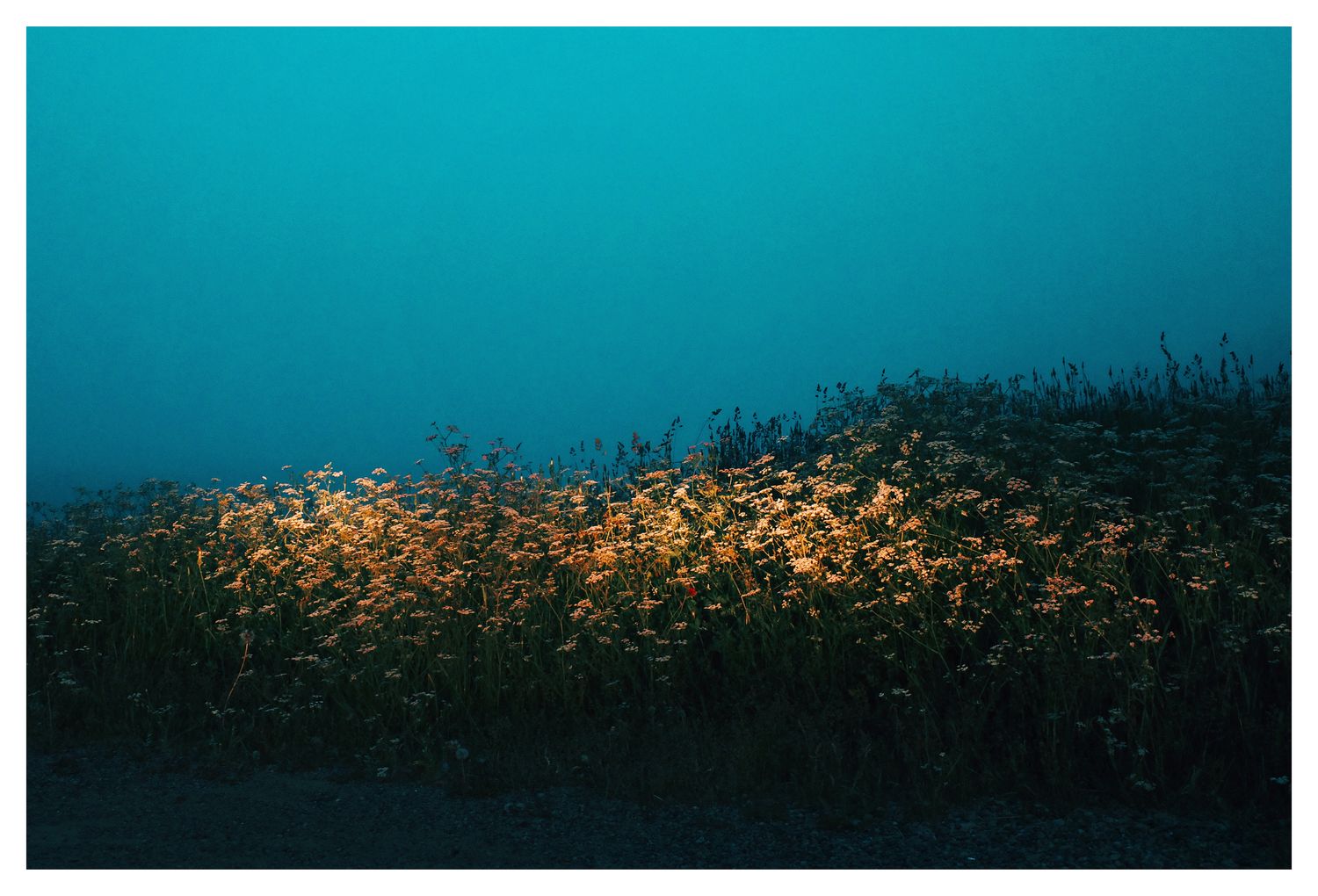 Au bout du chemin