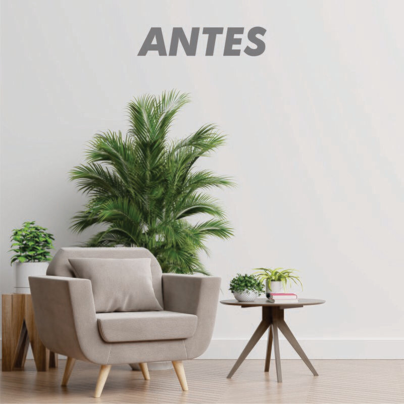 Vinilo Adhesivo para Pared