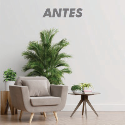 Vinilo Adhesivo para Pared