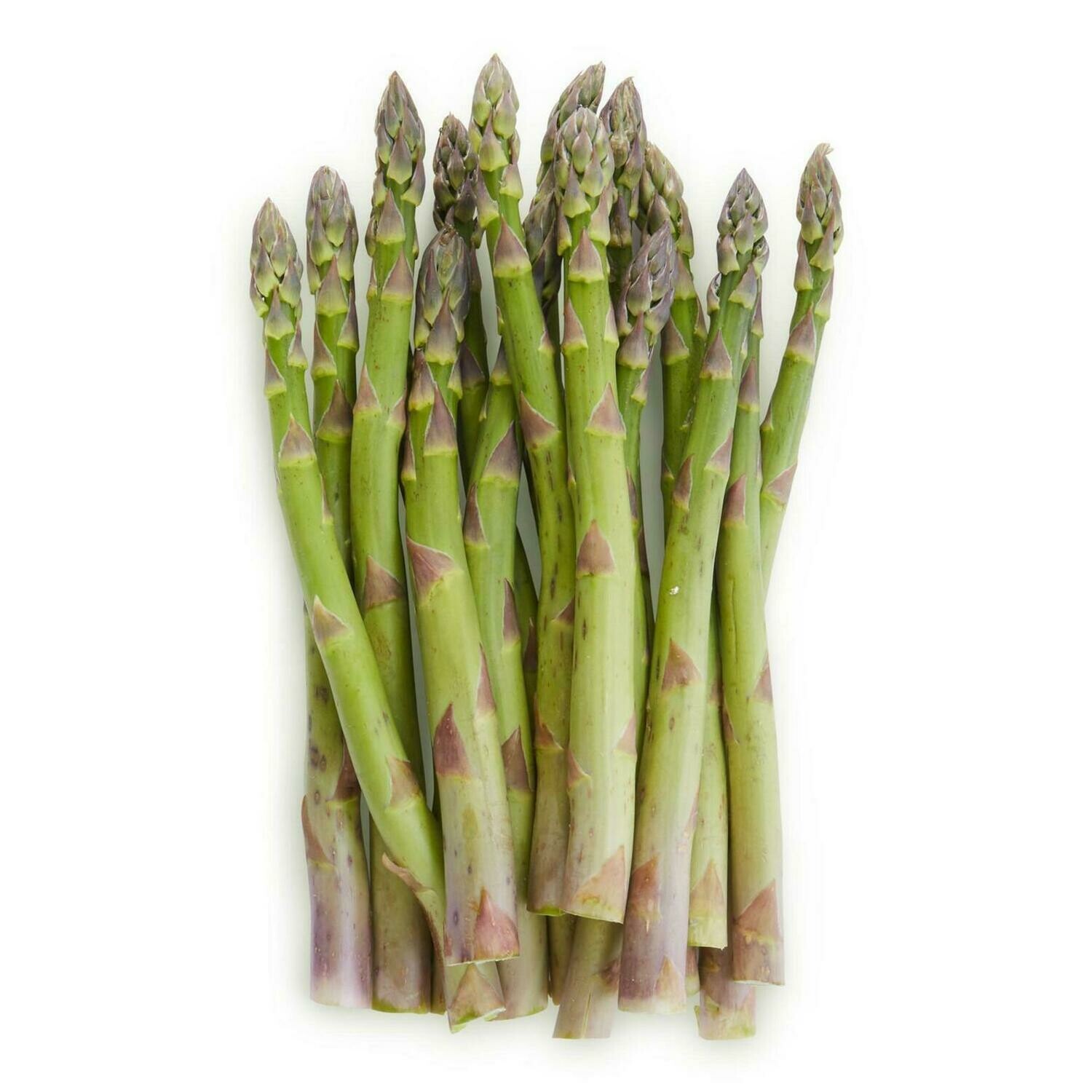 Asparagus - PRE-ORDER