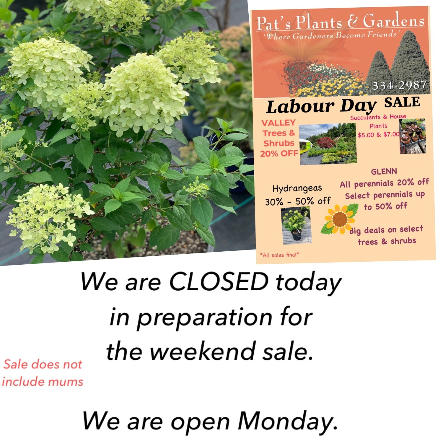 Closed today
