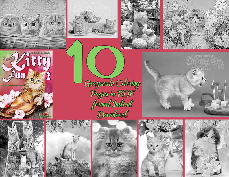 Kitty Fun 2 Sampler Pack PDF Digital Download