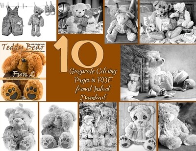 Teddy Bear Fun 2 Sampler Pack PDF