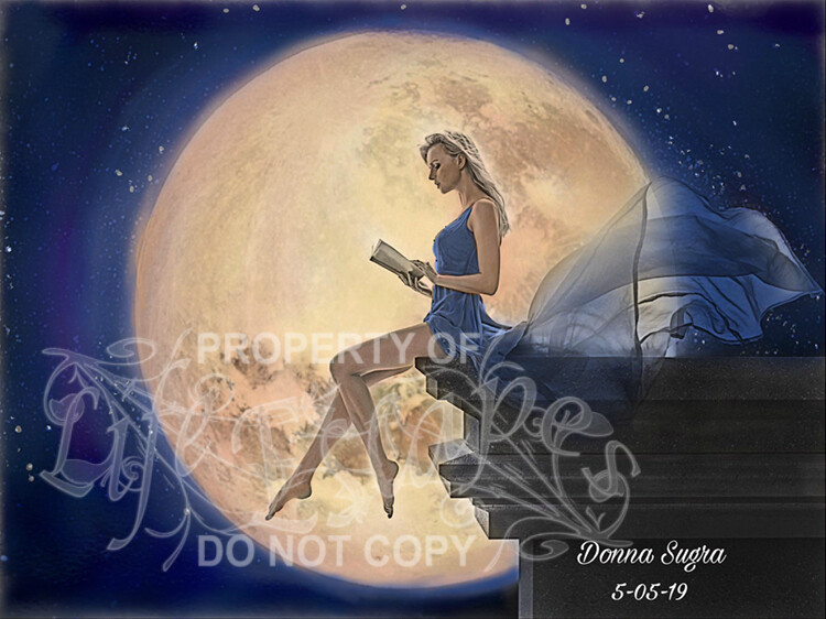 Moon Dreams Adult Coloring Book Pdf Digital Download