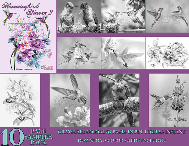 Hummingbird Heaven 2 Sampler Pack PDF