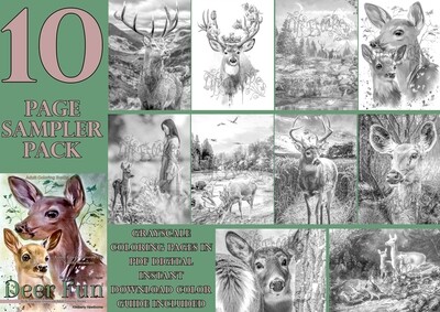 Deer Fun Coloring Book Sampler Pack PDF