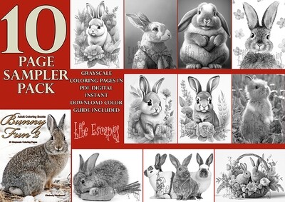 Bunny Fun 2 Sampler Pack PDF