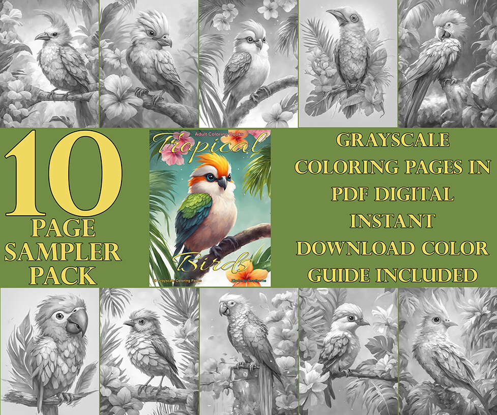 Tropical Birds Coloring Book Sampler Pack PDF