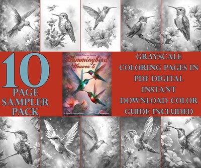 Hummingbird Heaven 3 Coloring Book Sampler Pack PDF
