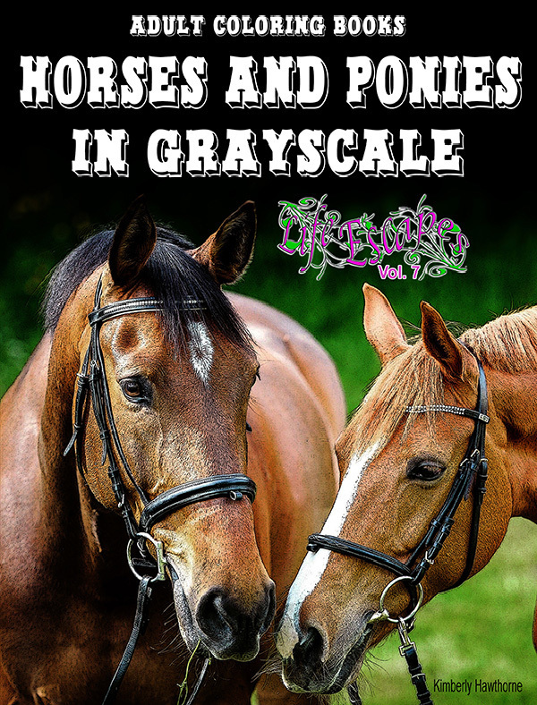 Horses & Ponies Coloring Book for Adults Digital Download