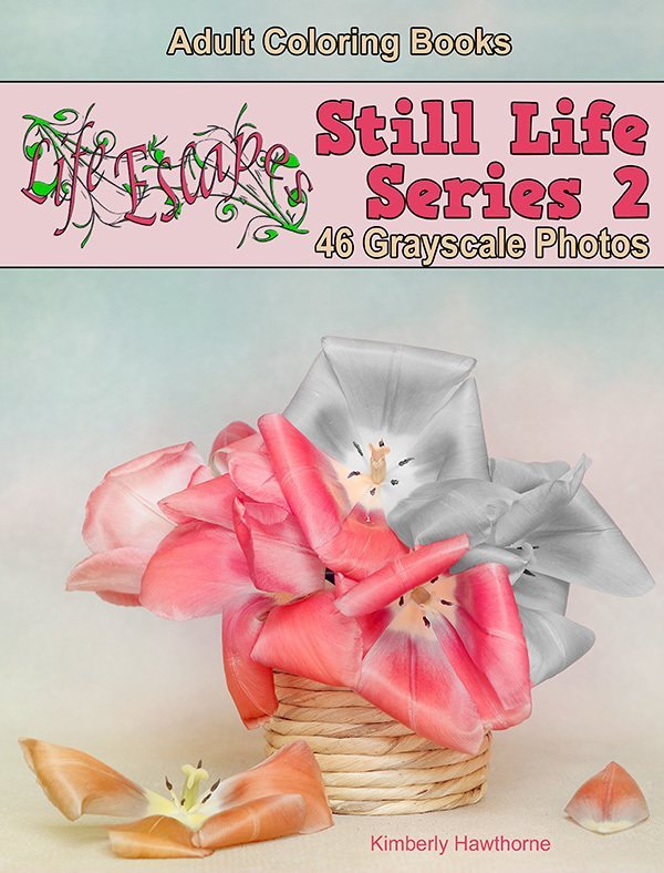 Still Life 2 Grayscale Adult Coloring Book Digital Download