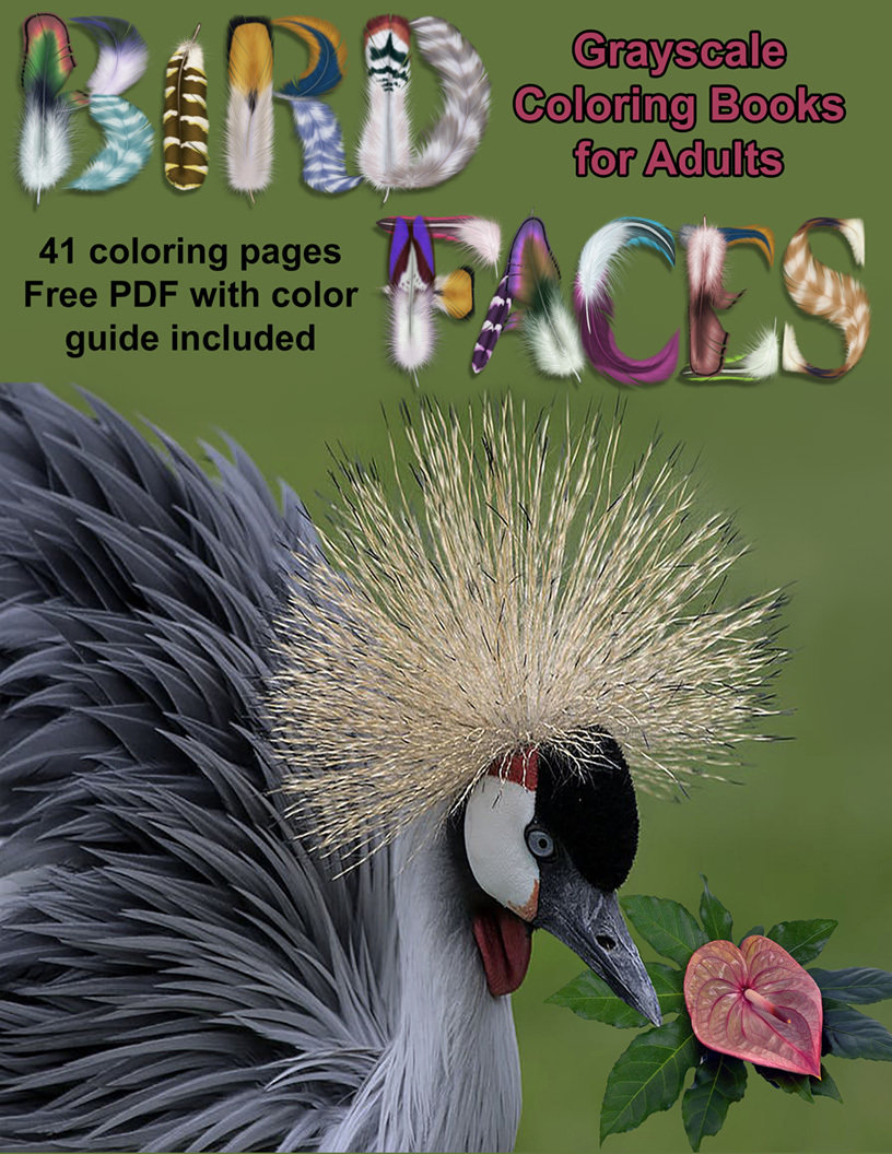 Bird Faces Coloring Book for Adults Digital Download