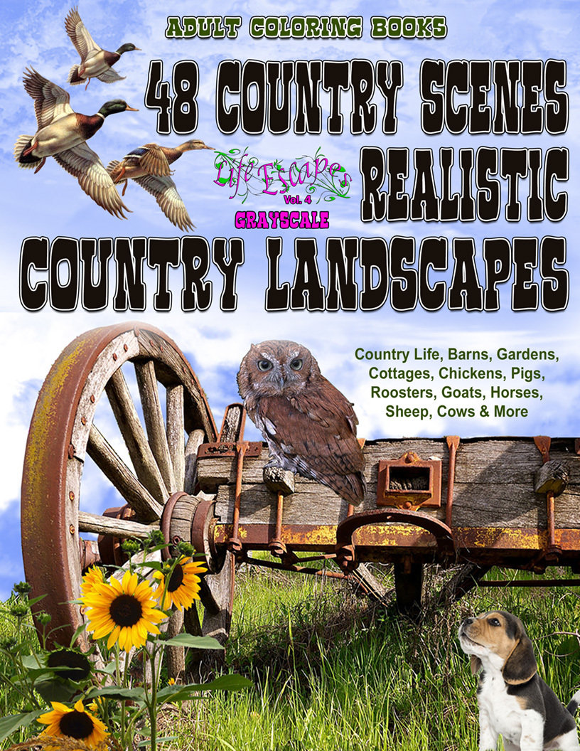 48 Country Scenes Coloring Book for Adults Digital Download