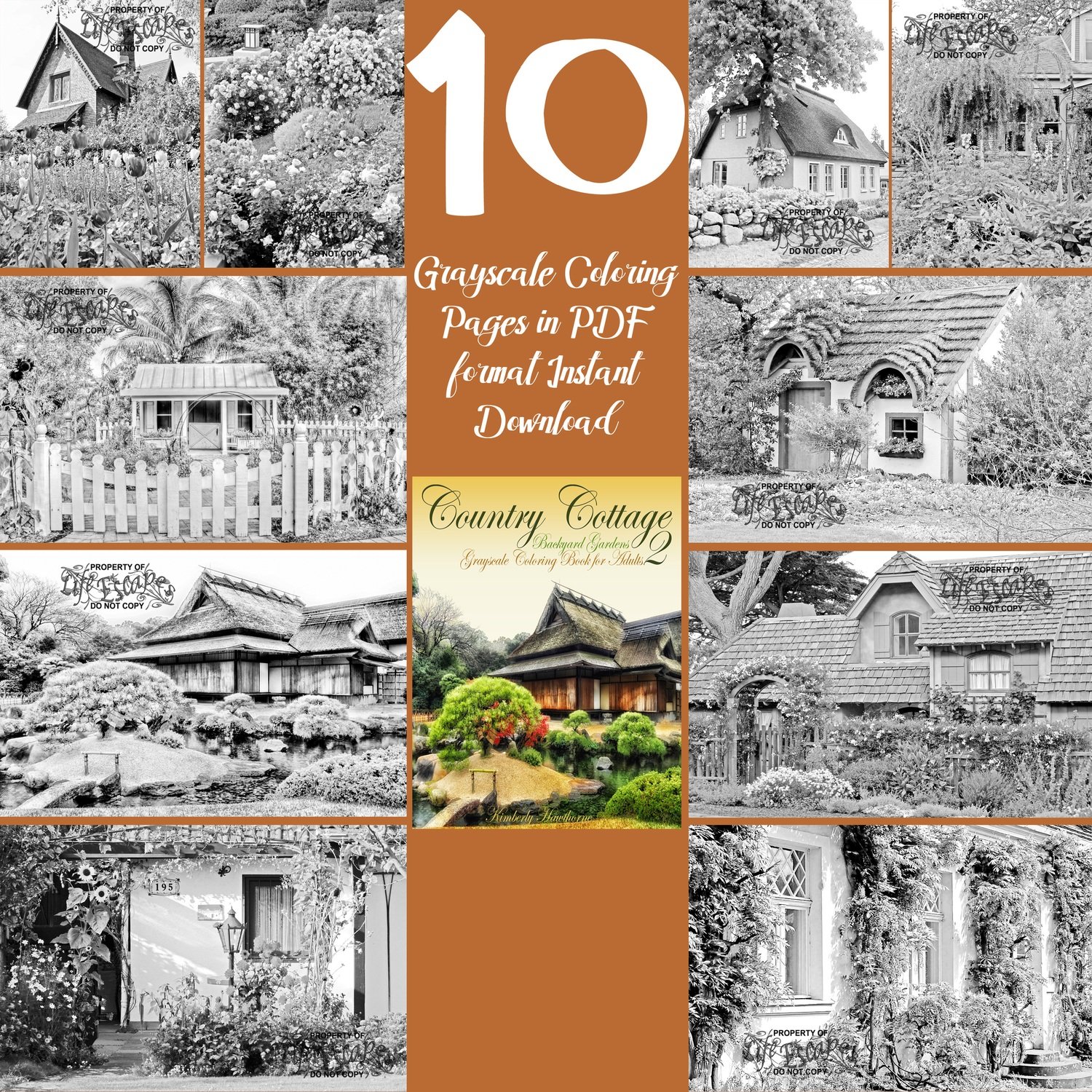 Country Cottage Backyard Gardens 2 Sampler Pack 10 Coloring Pages Digital Download