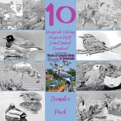 Colorful Birds Sampler Pack Digital Download