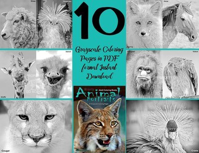 Animal Portraits Sampler Pack Digital Download