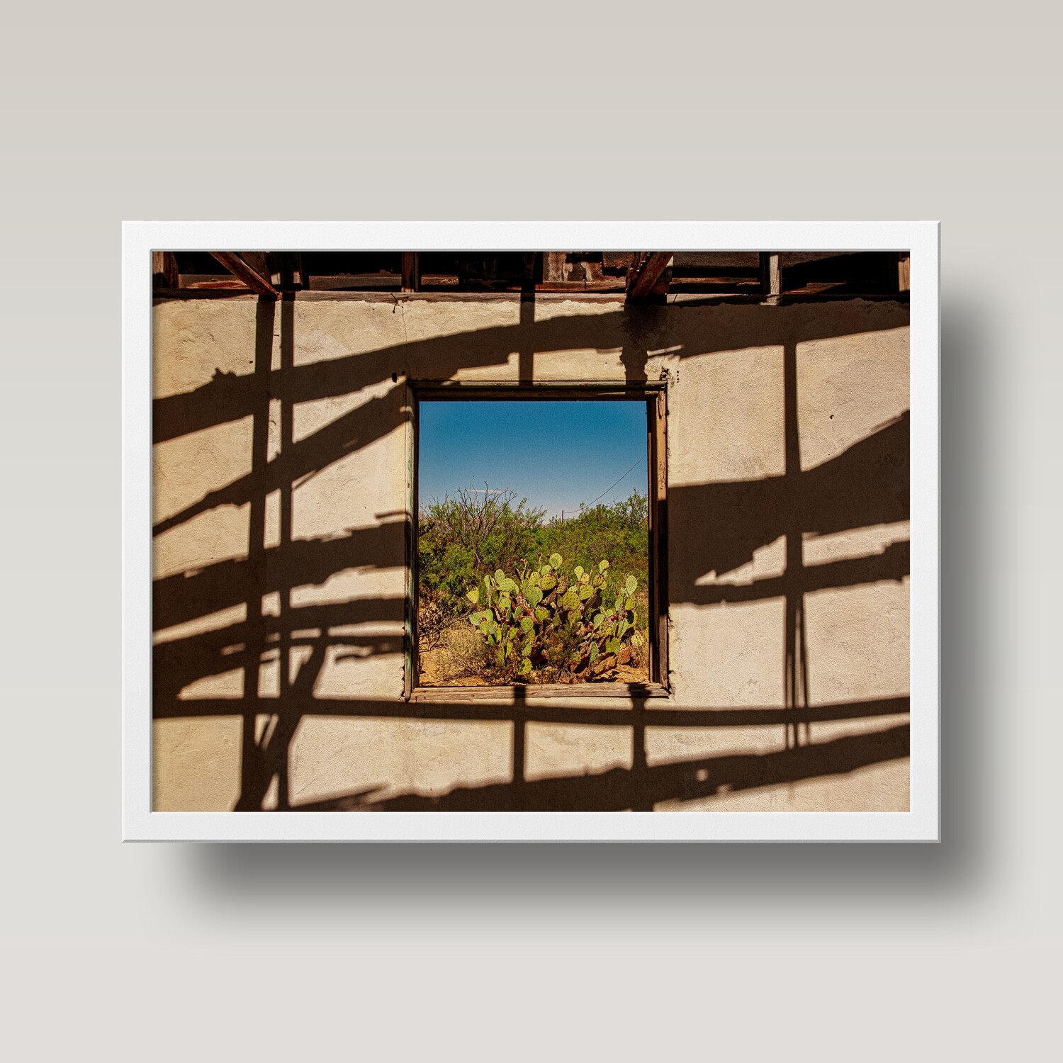 Sierra Blanca Postcard Print