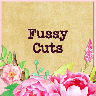 Fussy Cuts