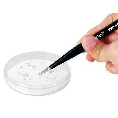 LASH PAD