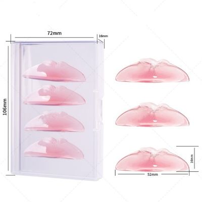 BIGUDIES ANATOMICOS