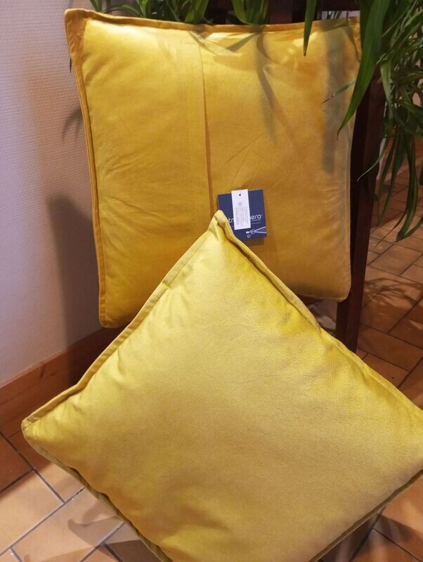 Cousin Jaune velours